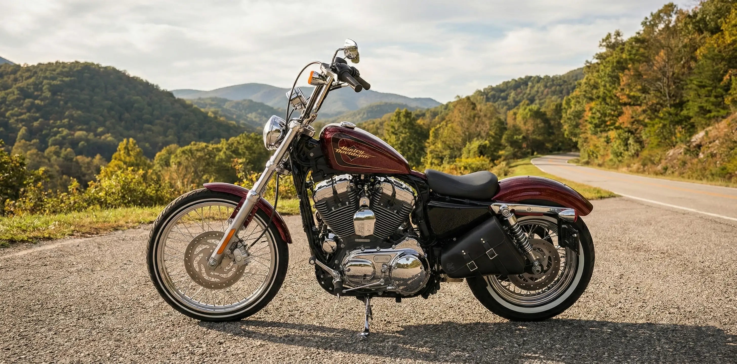 Discover our premium collection of H-D® Sportster leather saddlebags, crafted for durability and style. Perfectly designed to fit all Harley-Davidson® Sportster models, these saddlebags offer ample storage and easy installation.
