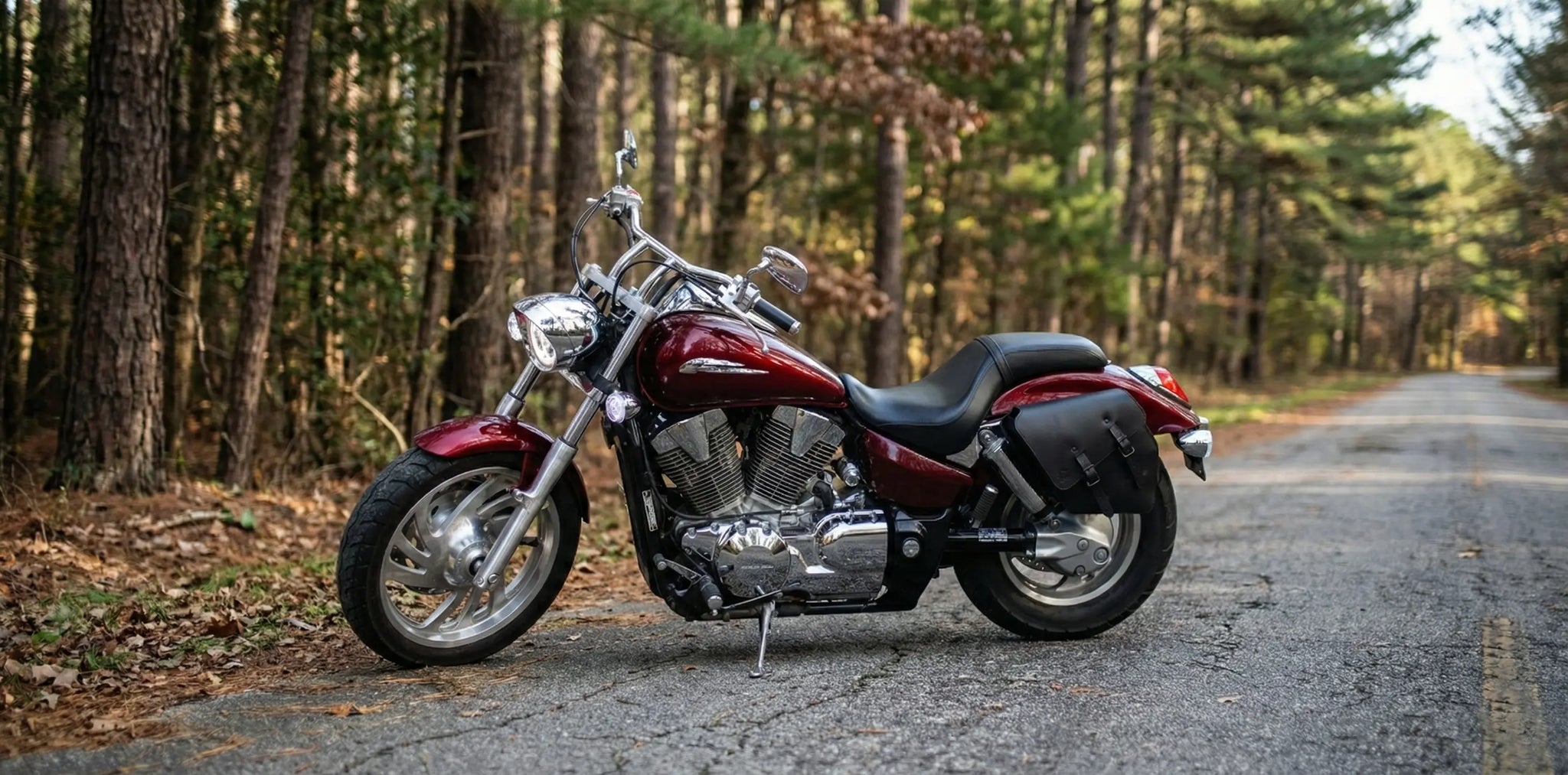 Honda Saddlebags | Rebel, Shadow, VTX | Handmade in USA | BAD&G