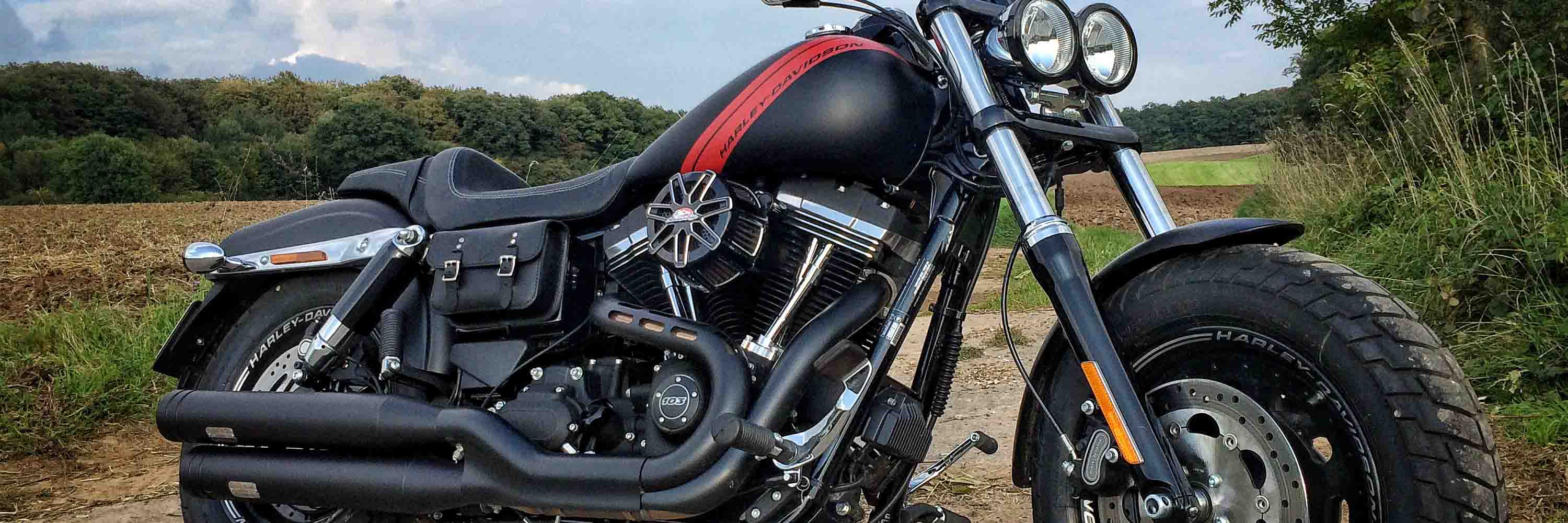Discover our premium collection of H-D® Dyna battery bags, crafted for durability and style. Perfectly designed to fit all Harley-Davidson® Dyna models, these saddlebags offer ample storage and easy installation.