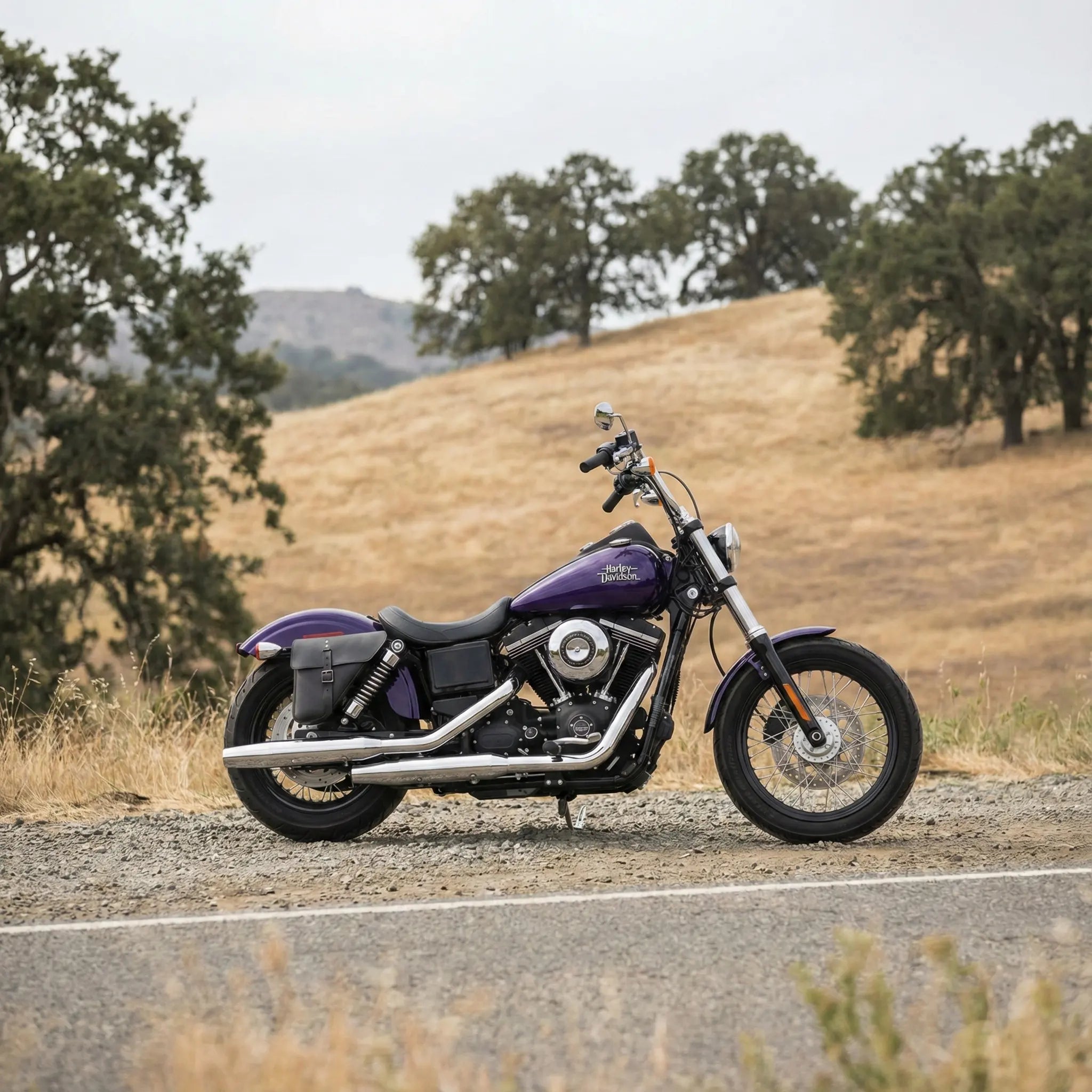 H-D® Dyna Right Side Solo Bag - DR03