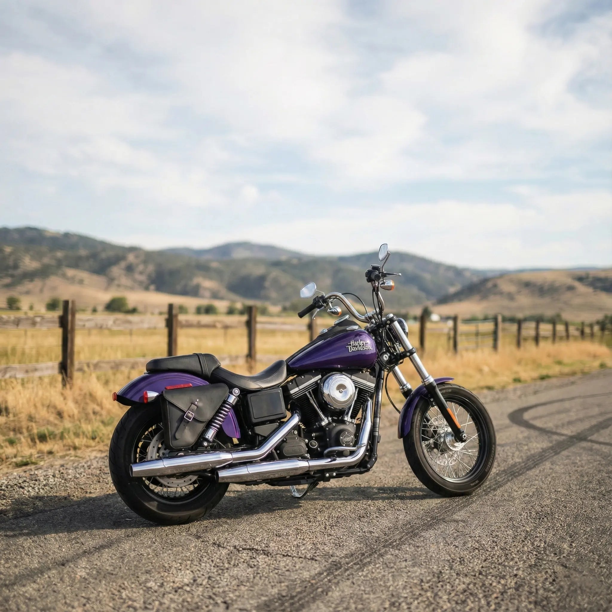 H-D® Dyna Right Side Solo Bag - DR032