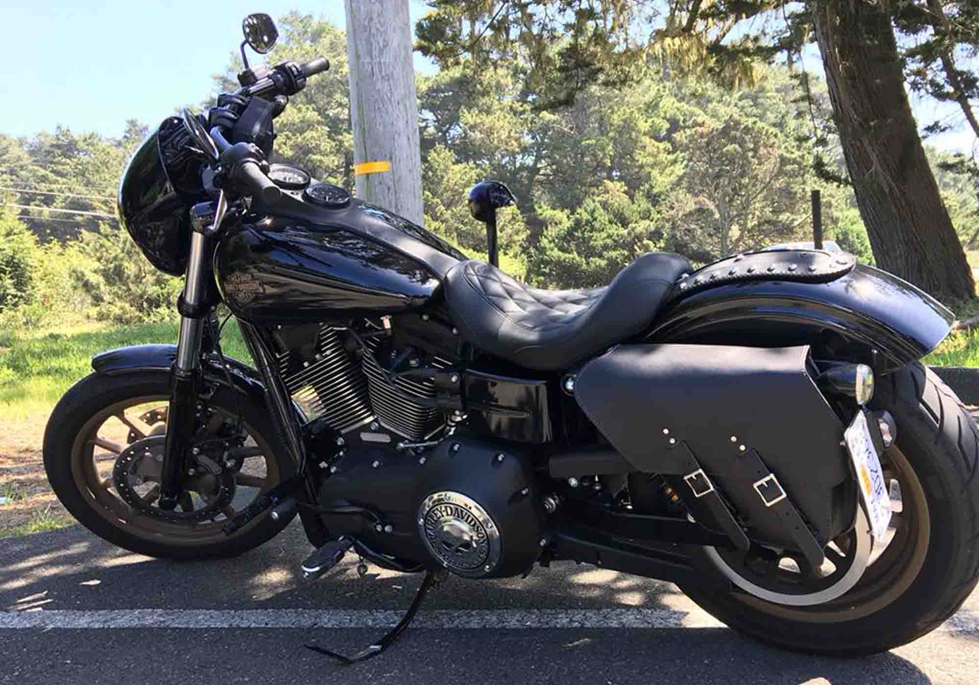 Harley-Davidson Dyna Low Rider S Solo Bag DL01 BAD&G CUSTOMS Saddlebags
