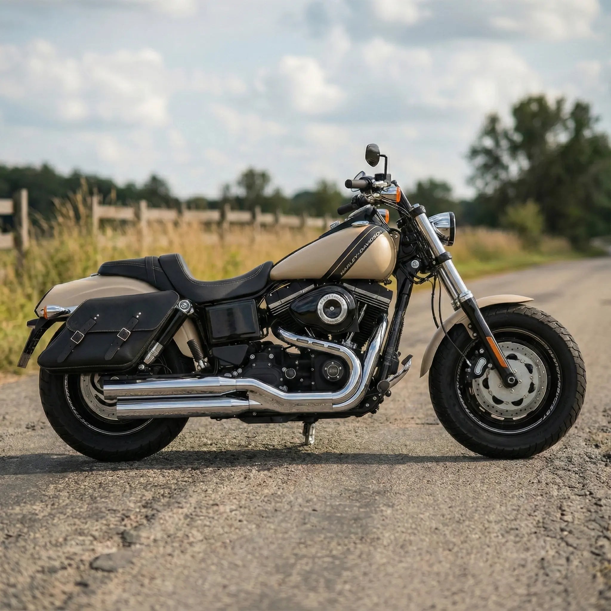 H-D® Dyna Right Side Solo Bag - DR051