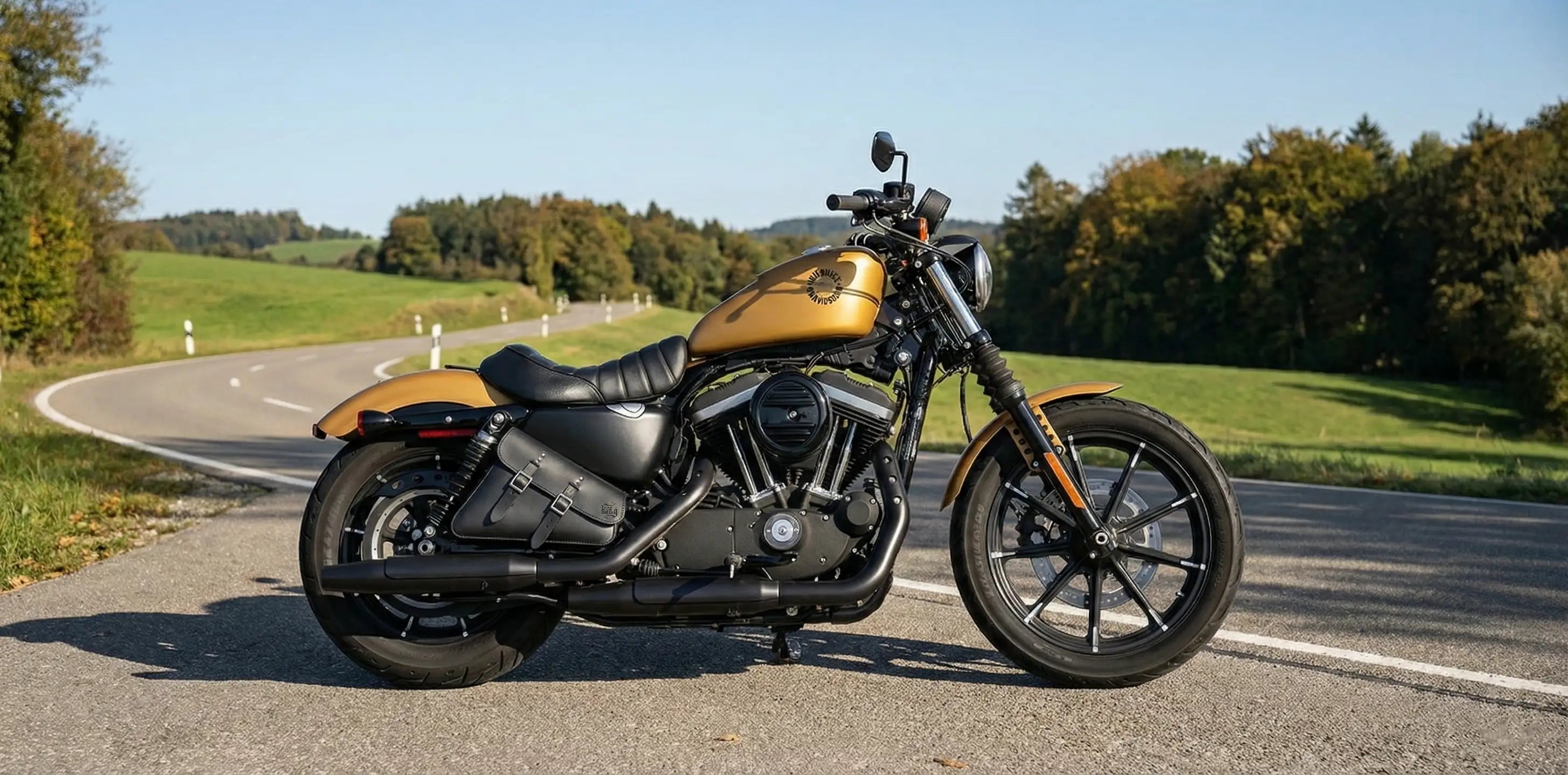 H-D® Sportster Right Side Solo Bag - SR01